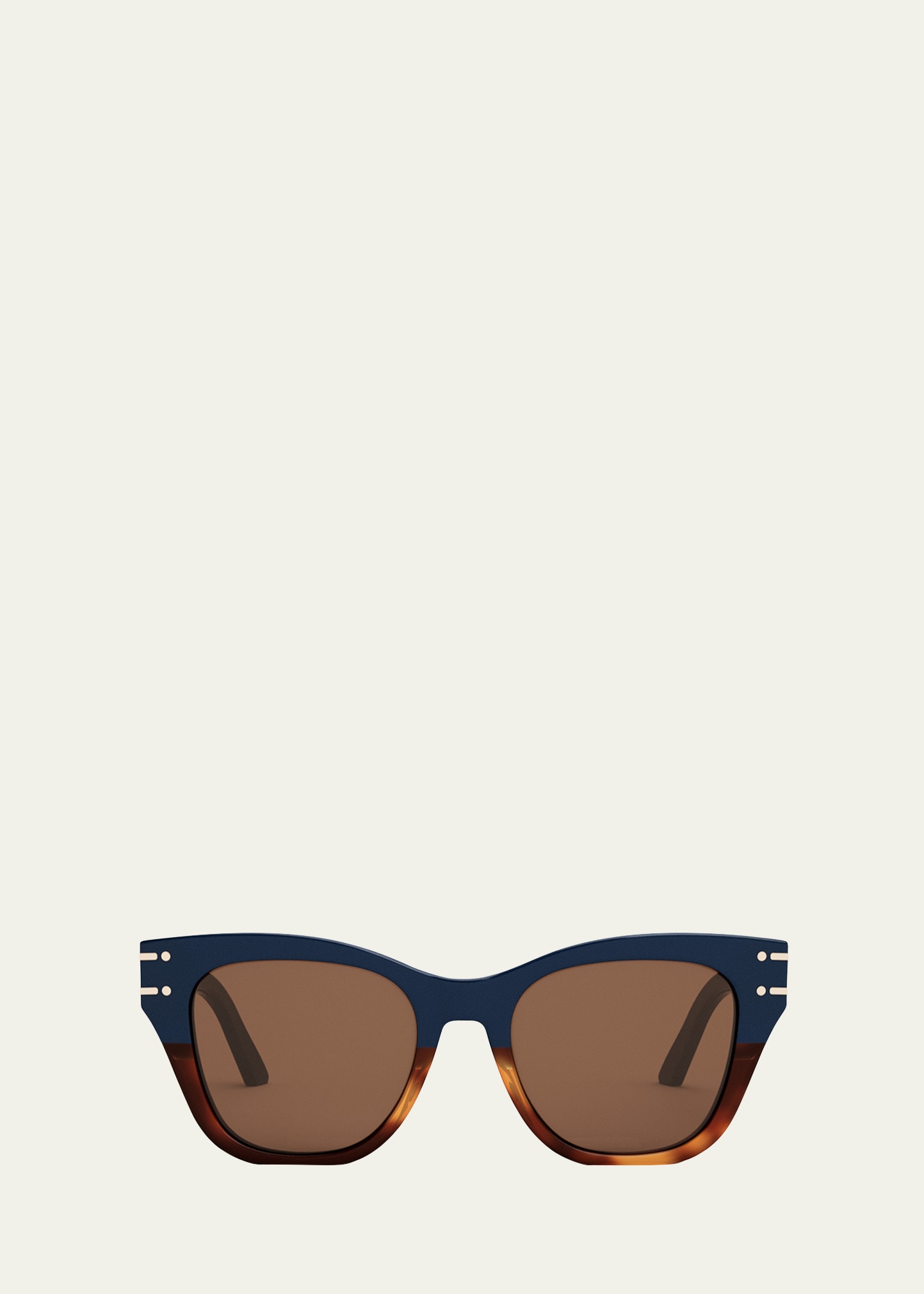 Dior Paris Logo Acetate Butterfly Sunglasses In Sblu/brn