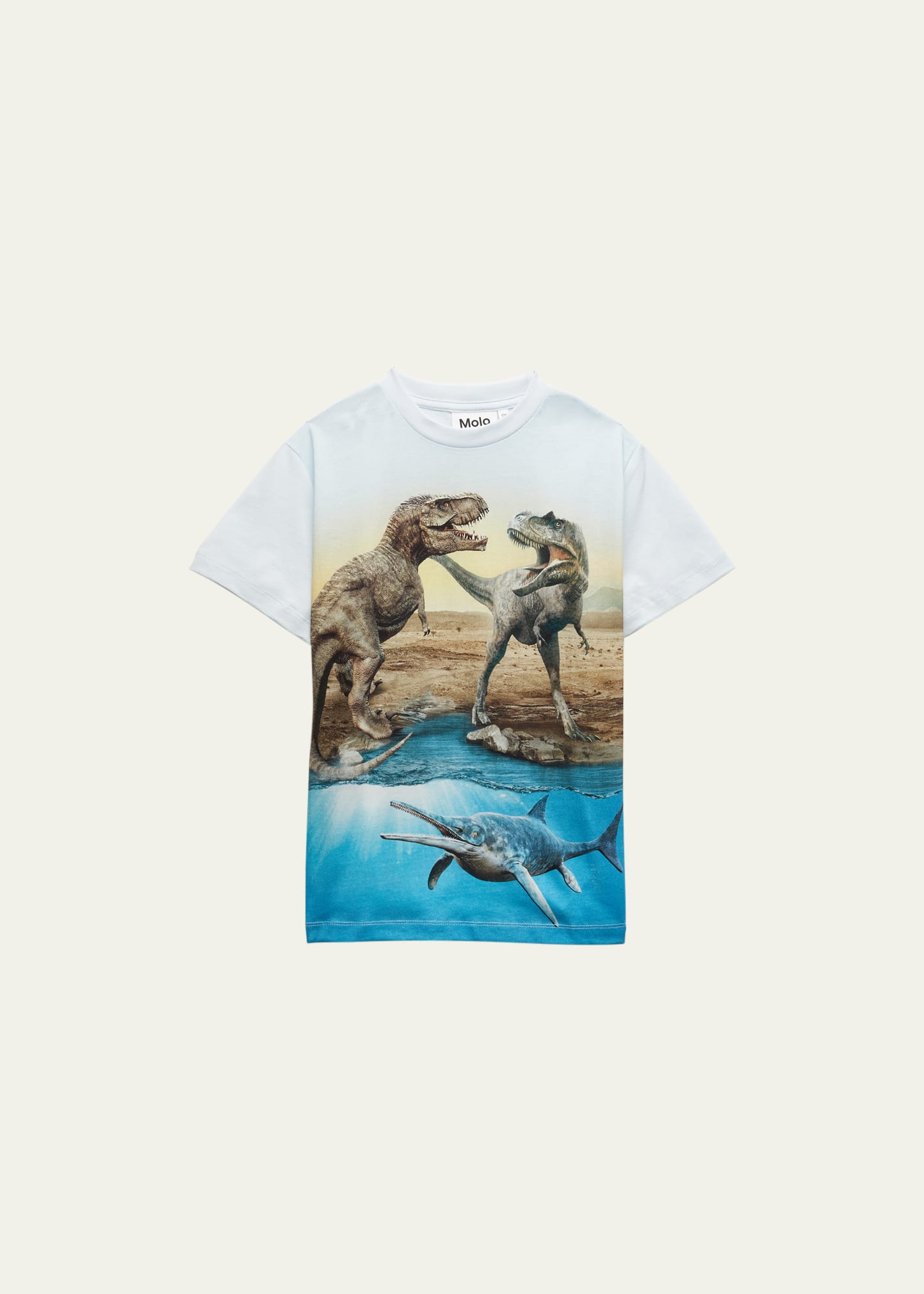 Boy's Roxo Graphic Dinosaur T-Shirt, Size 8-10