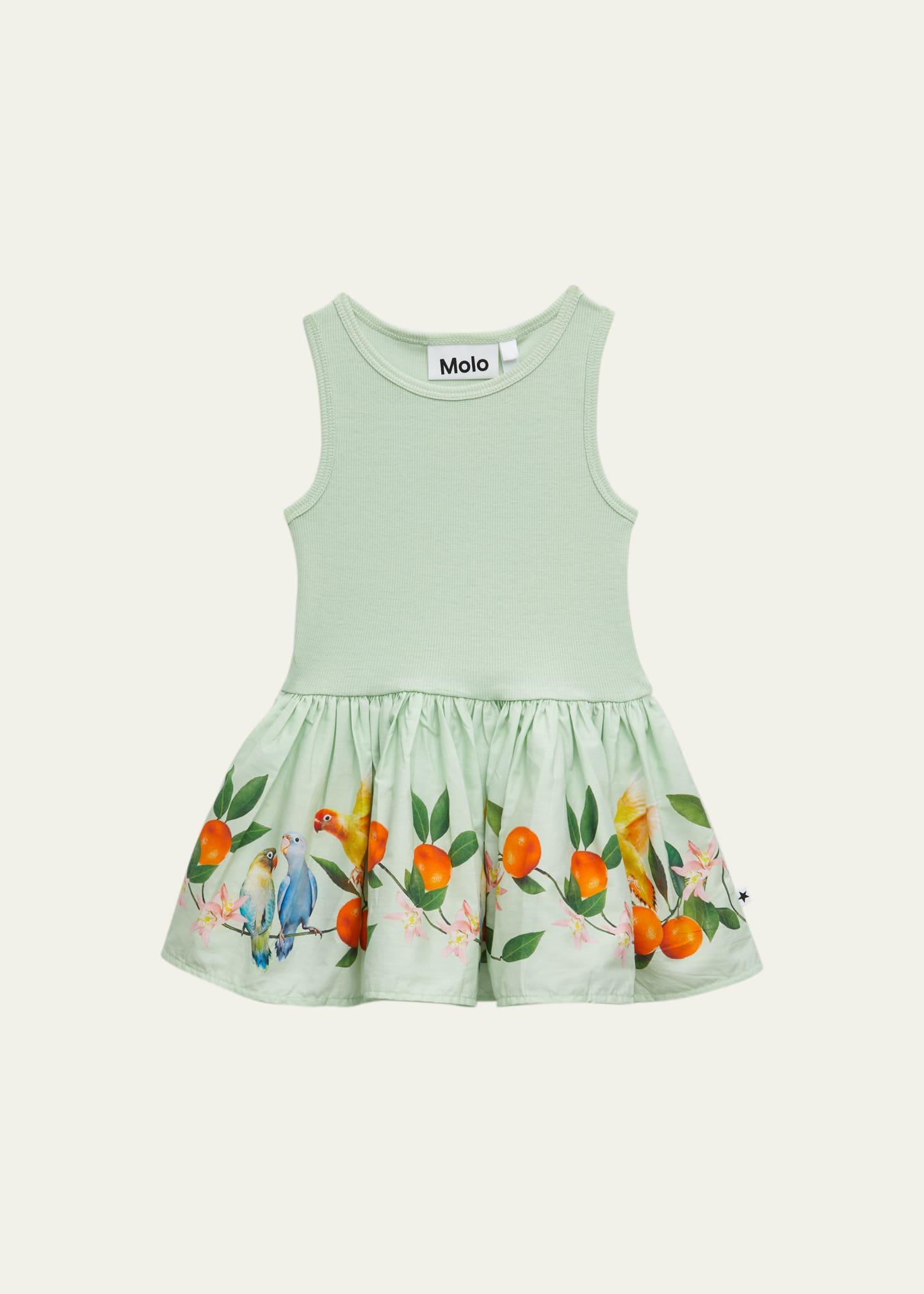 Girl's Cordelia Bird & Fruit-Print Dress, Size 6M-24M