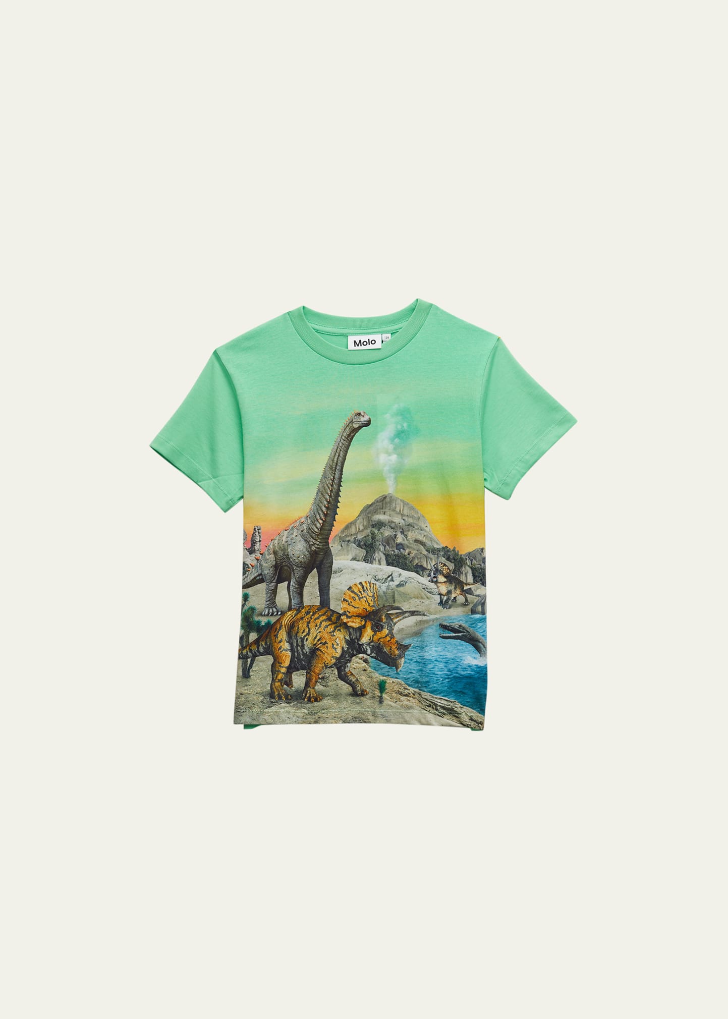 Boy's Rame Graphic Dinosaur-Print T-Shirt, Size 8-10