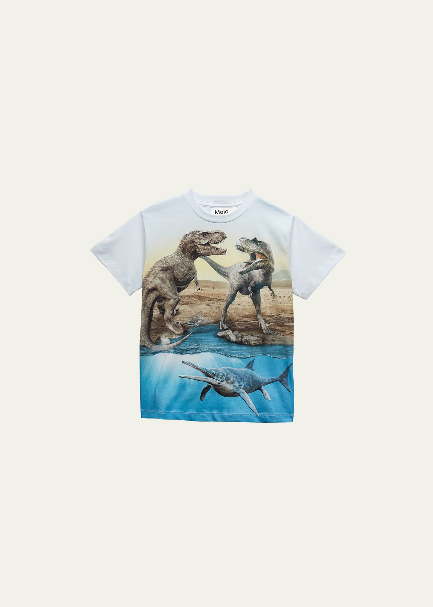 Boy's Roxo Graphic Dinosaur T-Shirt, Size 4-7