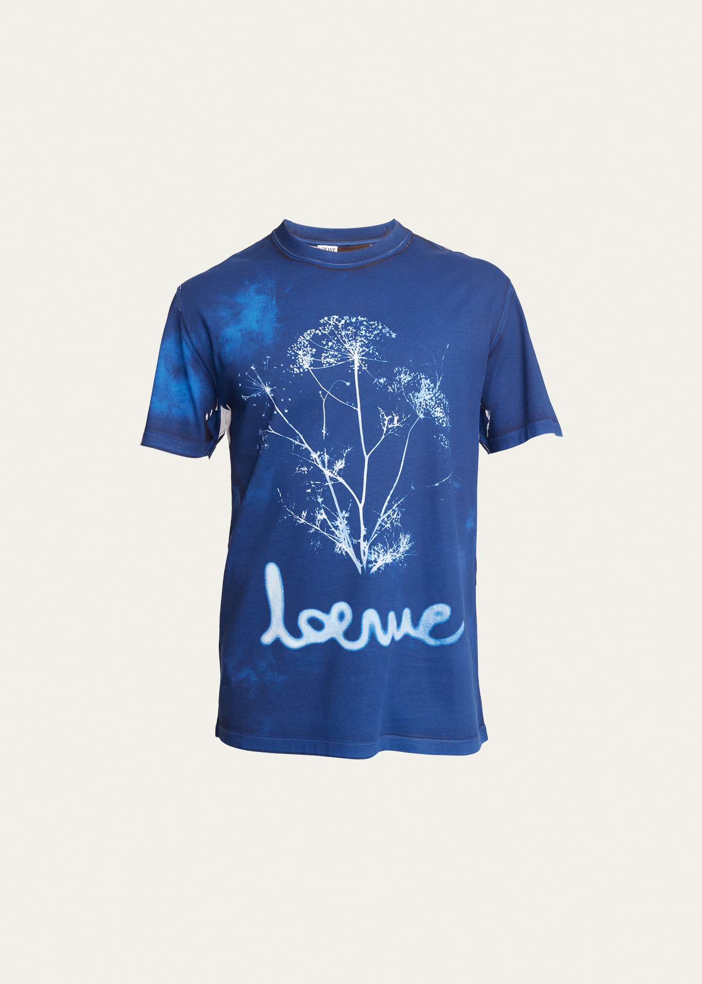 Loewe Fennel Printed T-shirt In Blue White