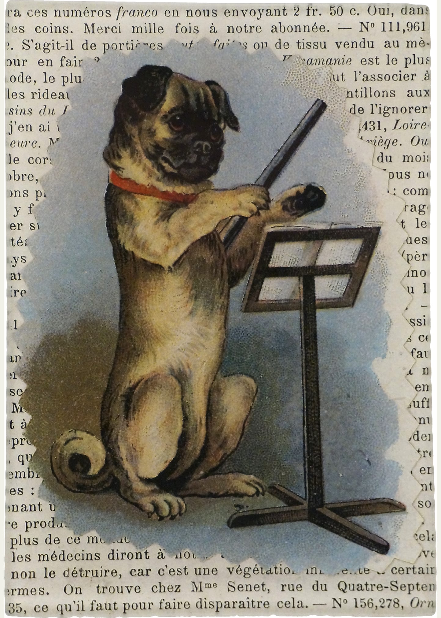 John Derian Pug Conductor Tiny Rectangular Tray, 3" X 5" In Multi