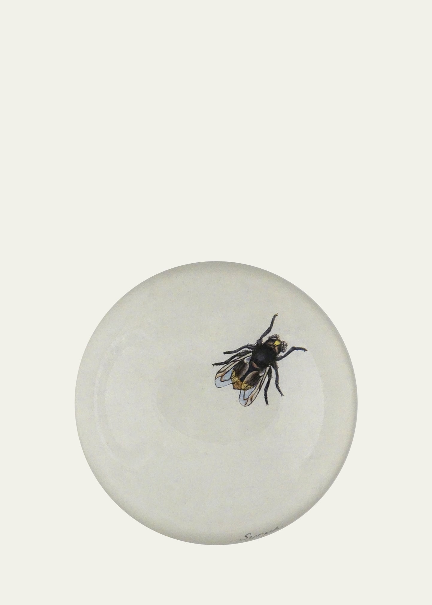 John Derian The Fly Dome Paperweight In White