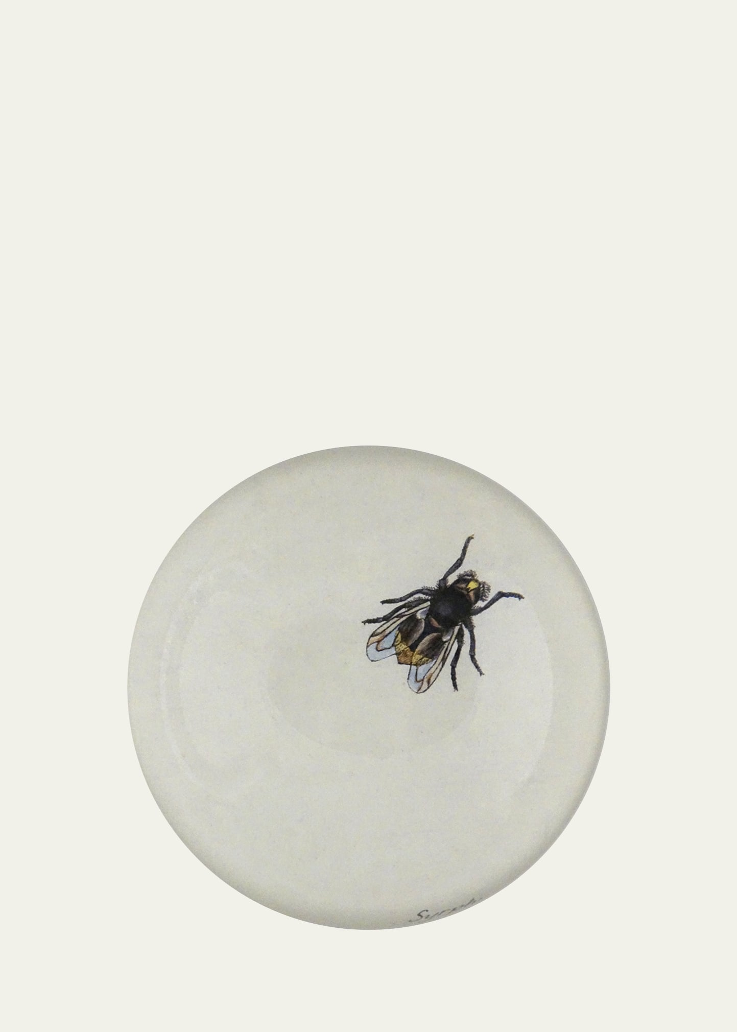 John Derian The Fly Dome Paperweight In Multi