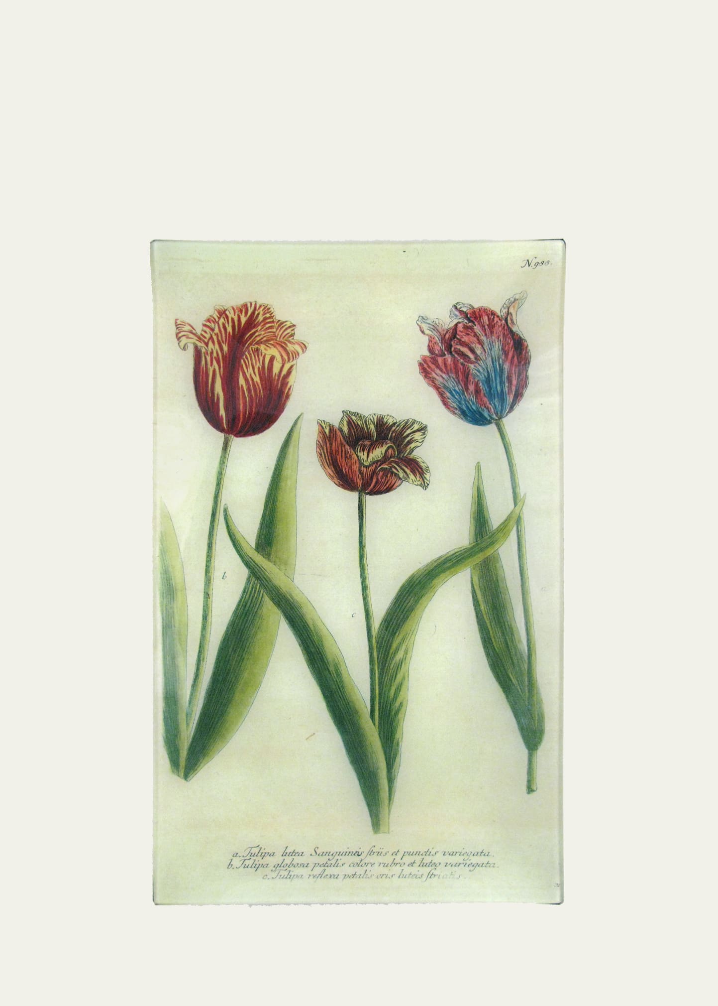 John Derian Flowers Rectangular Tray, 10" X 16" In Multi
