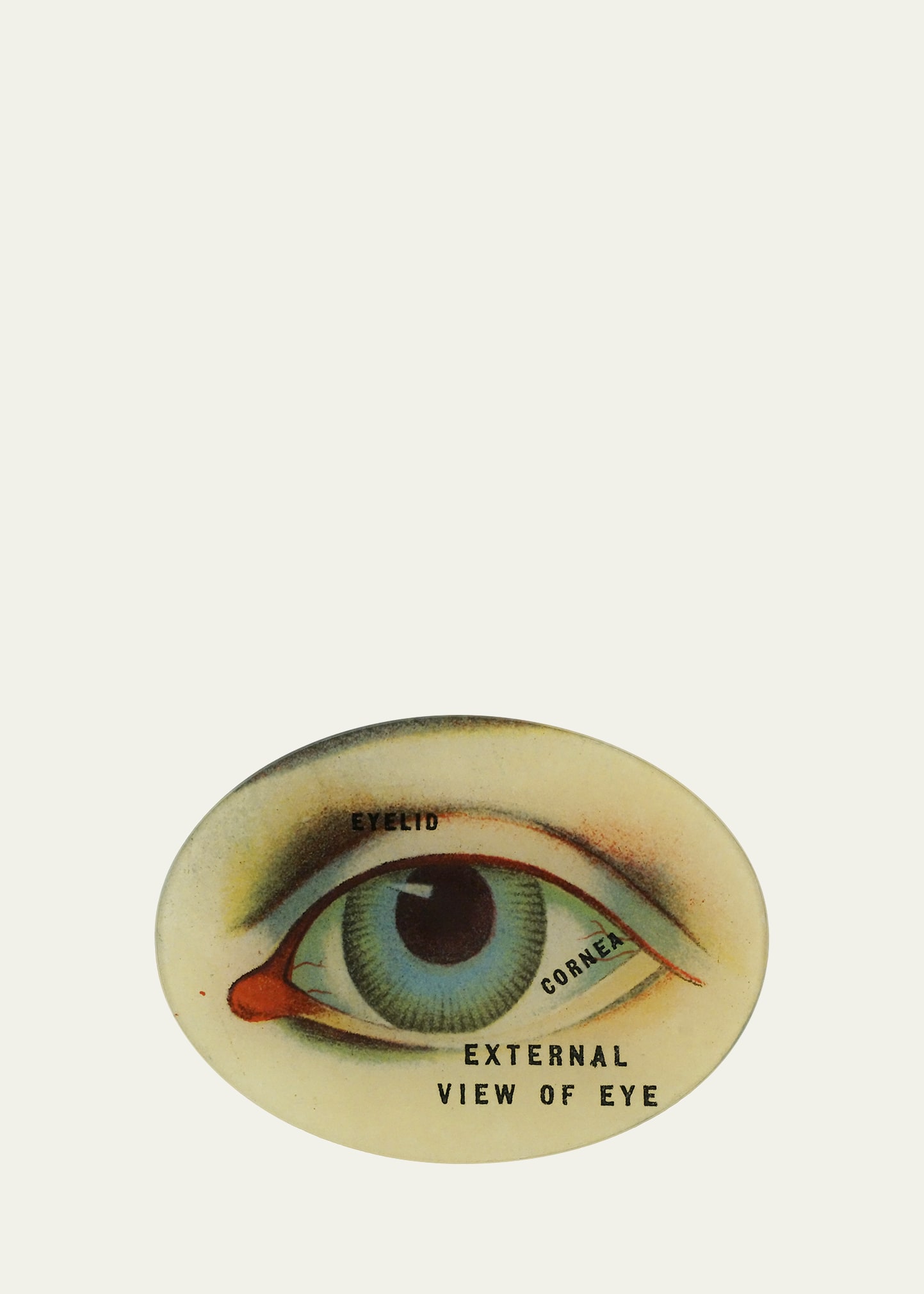 John Derian External View Of Eye Oval Tray, 5" X 7" In Multi