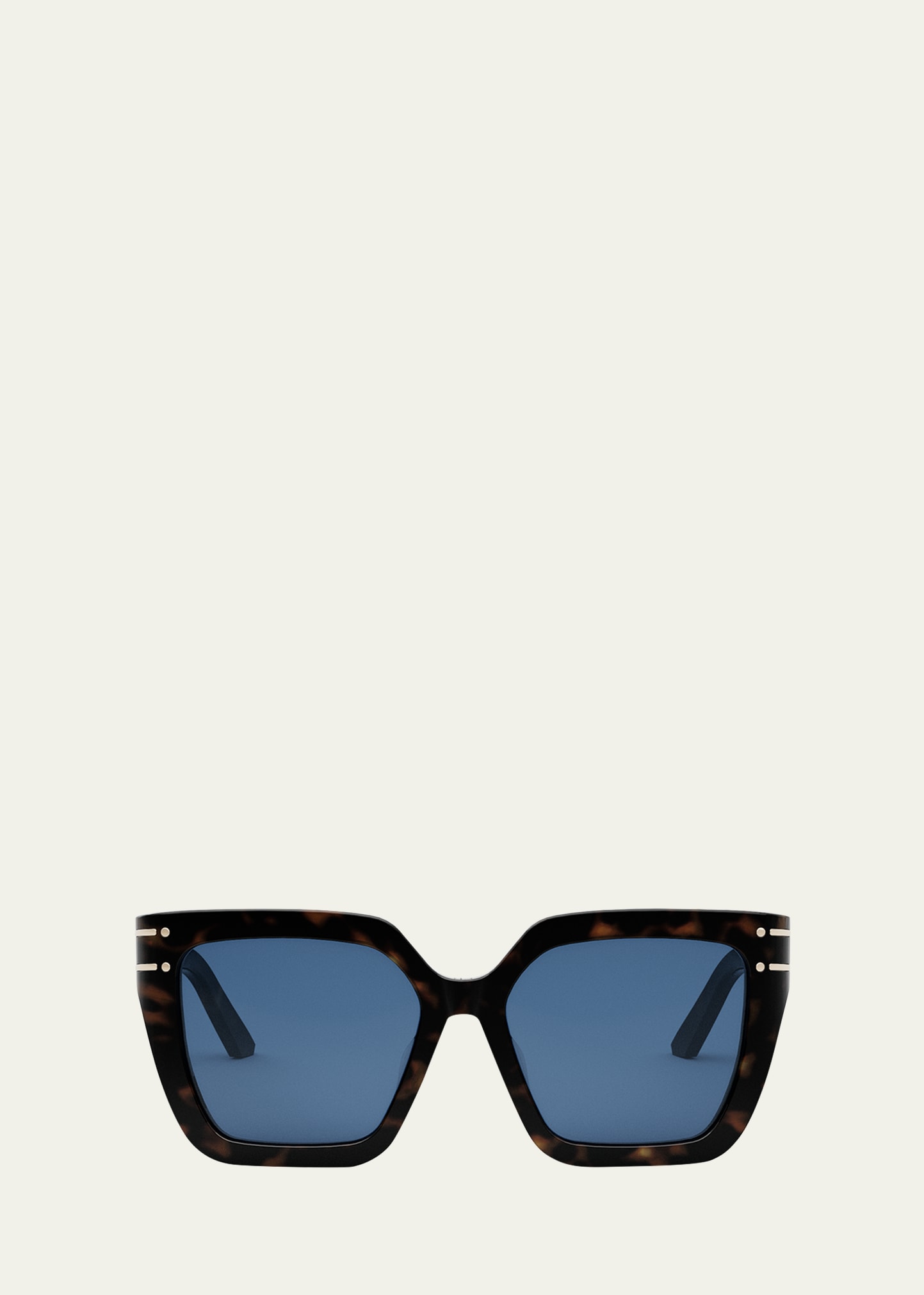 Dior Signature S10f Sunglasses In Brown