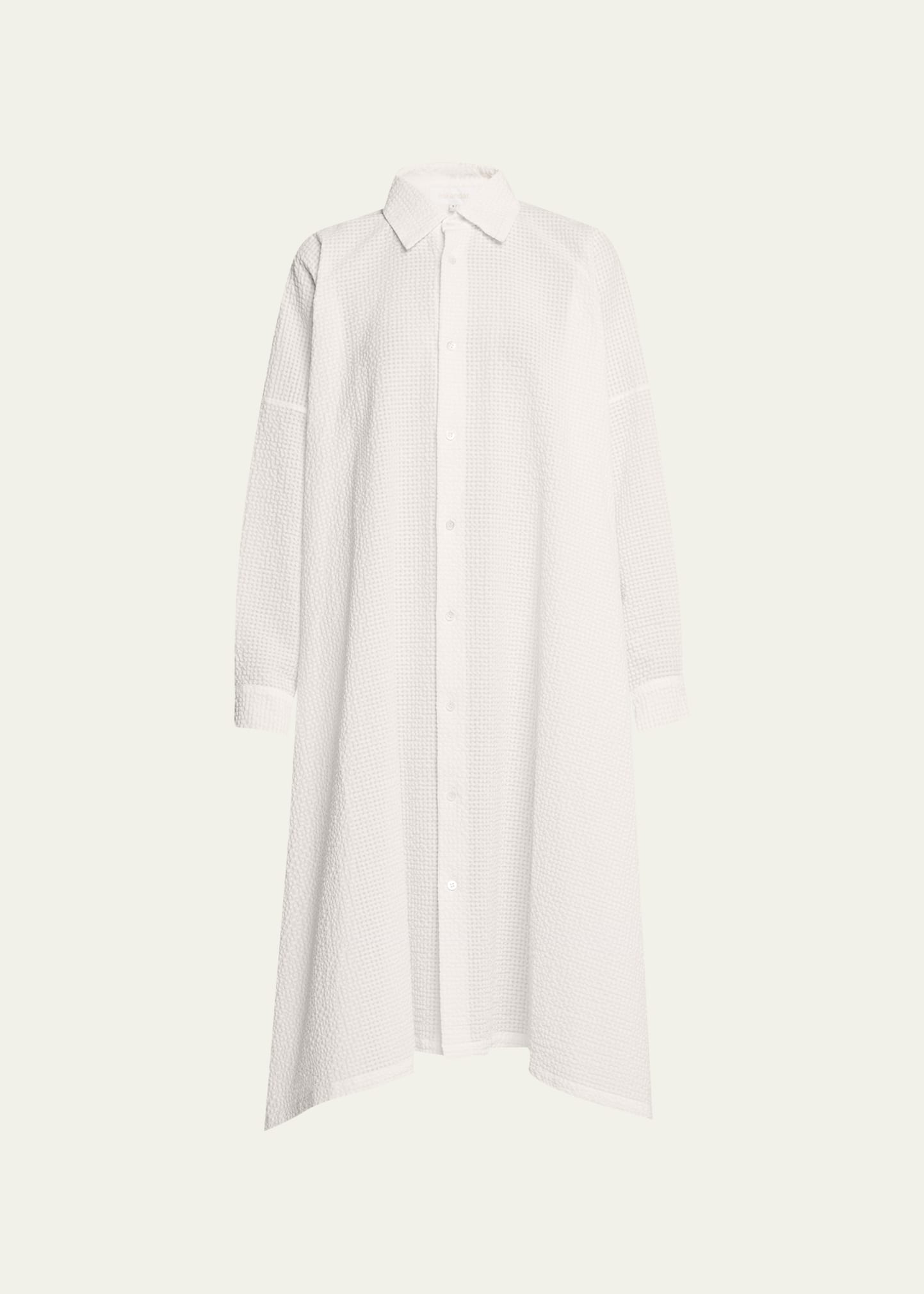 Shop Eskandar Dps Shirt Dress With Collar In White
