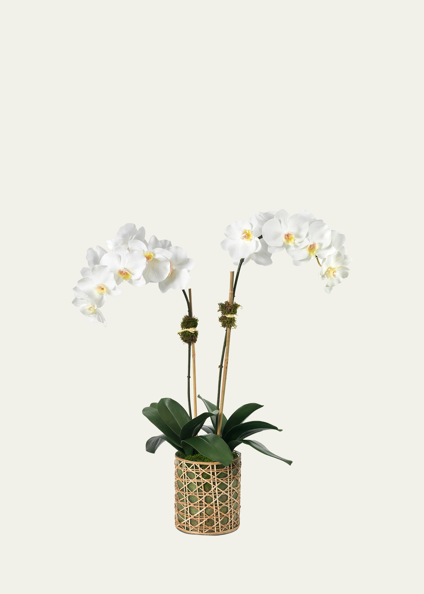 2-Stem White Phalaenopsis Orchid 29" Faux Floral Arrangement in Cane/Glass Vase