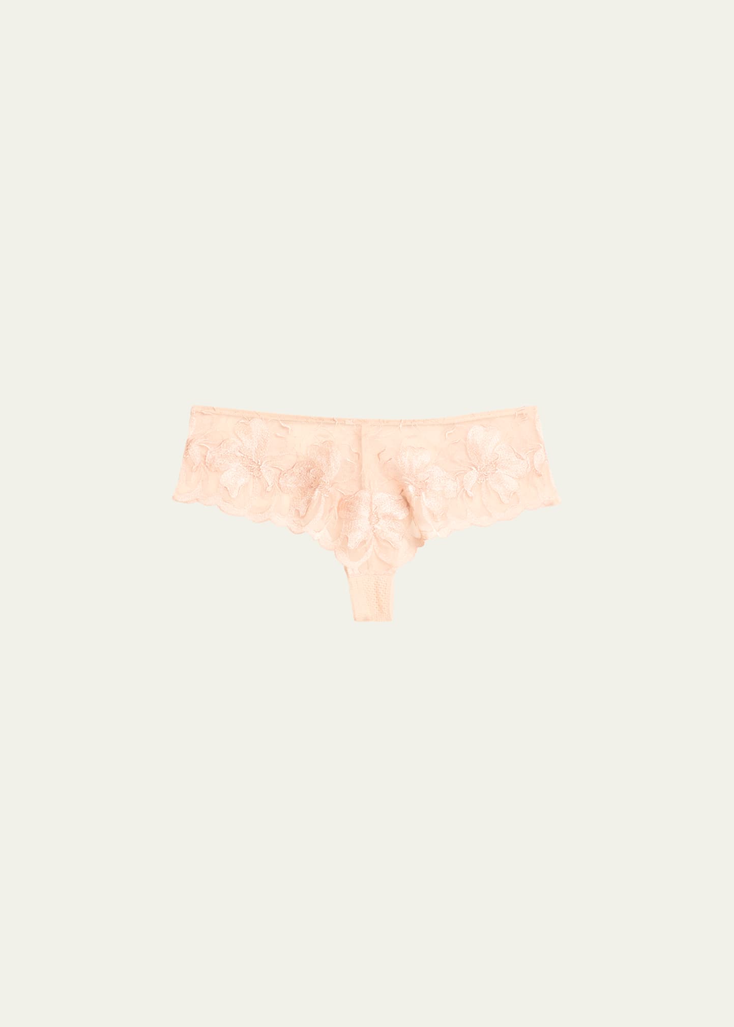 Fleur Floral-Embroidered Lace Hipster Briefs