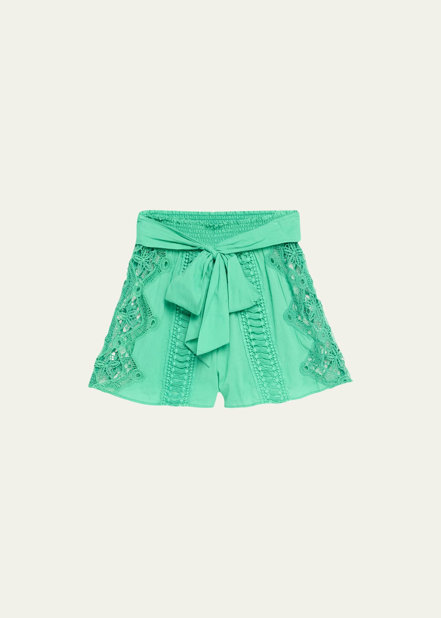 Shop Ramy Brook Emely Embroidered Shorts In Palm Green