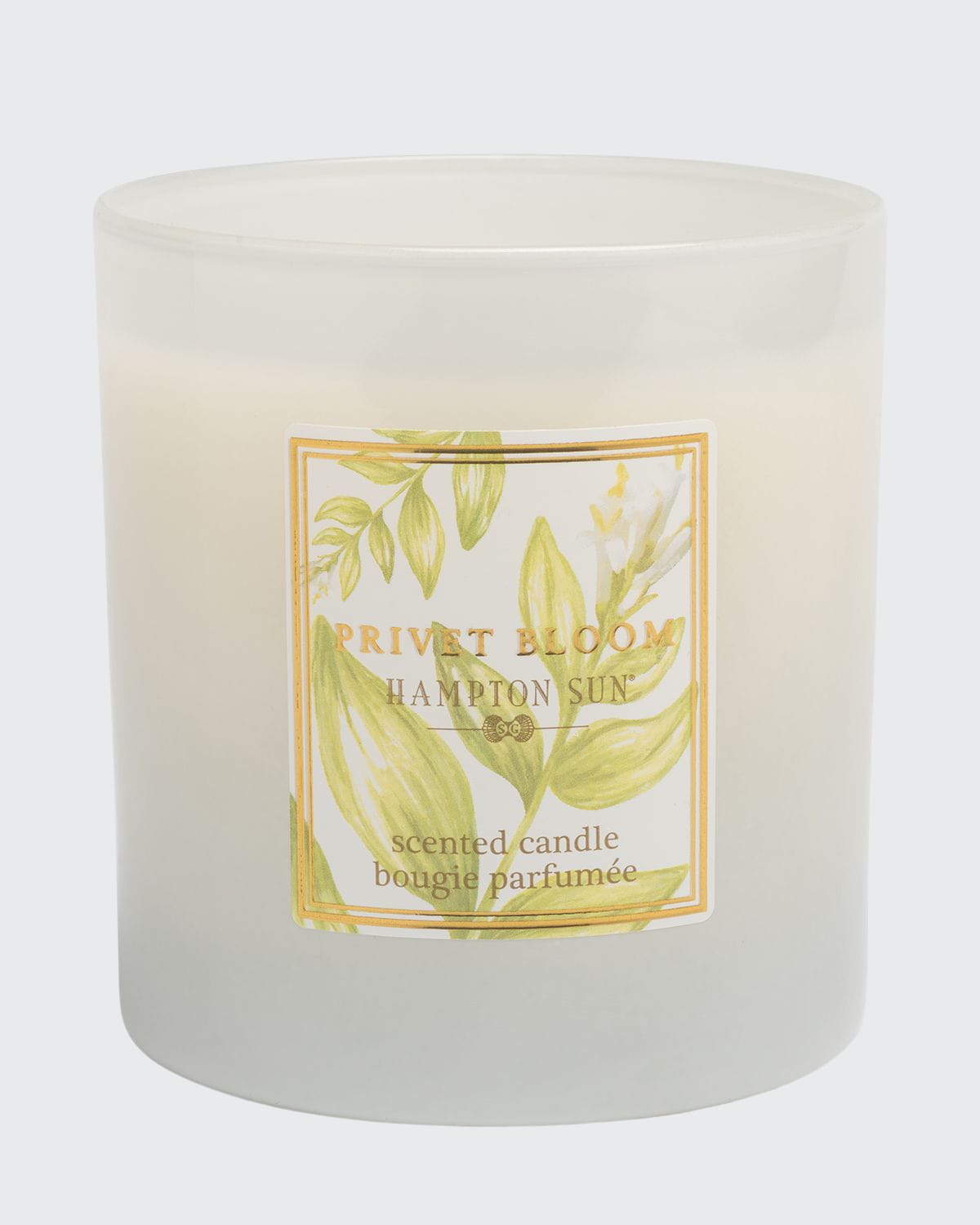 Hampton Sun 7.5 oz. Privet Bloom Scented Candle