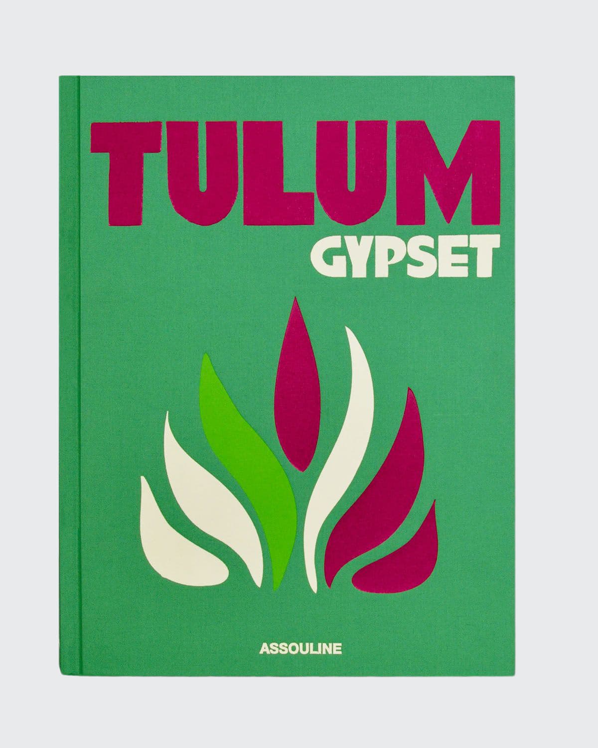 Tulum Gypset Book by Julia Chaplin