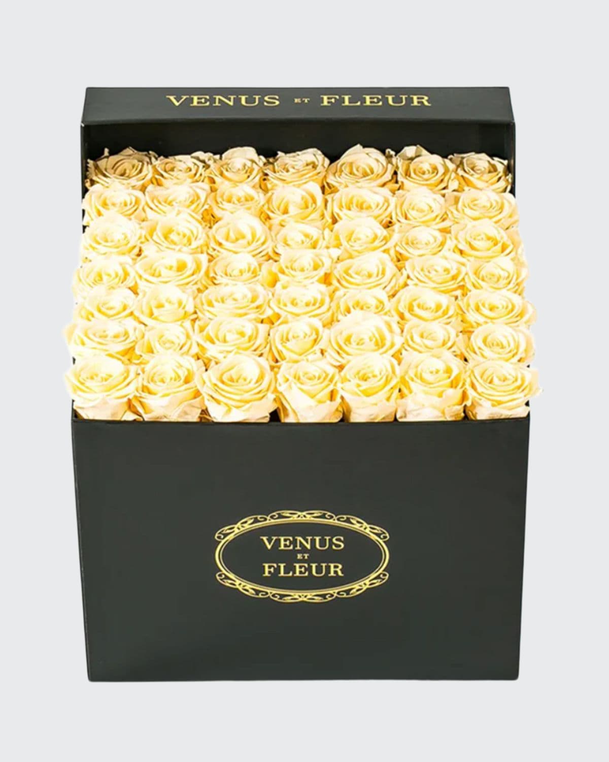 Venus Et Fleur Classic Large Square Rose Box In Champagne