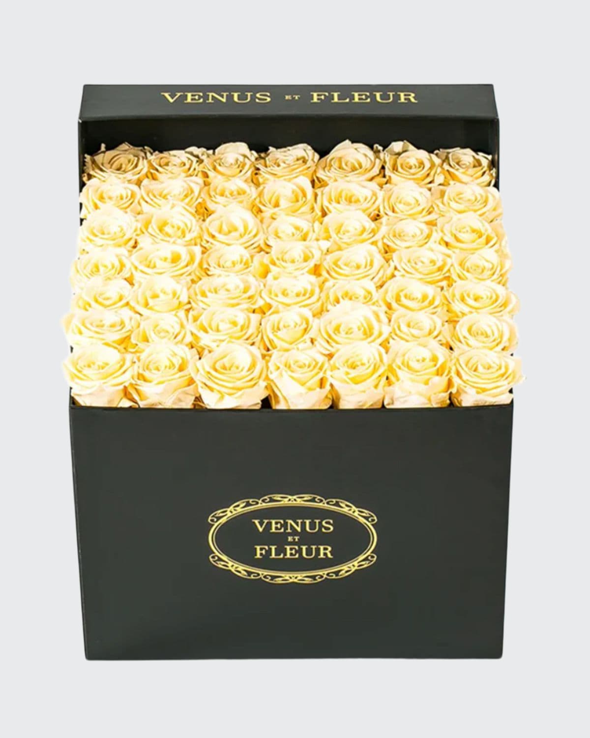 Venus Et Fleur Classic Large Square Rose Box In Gold