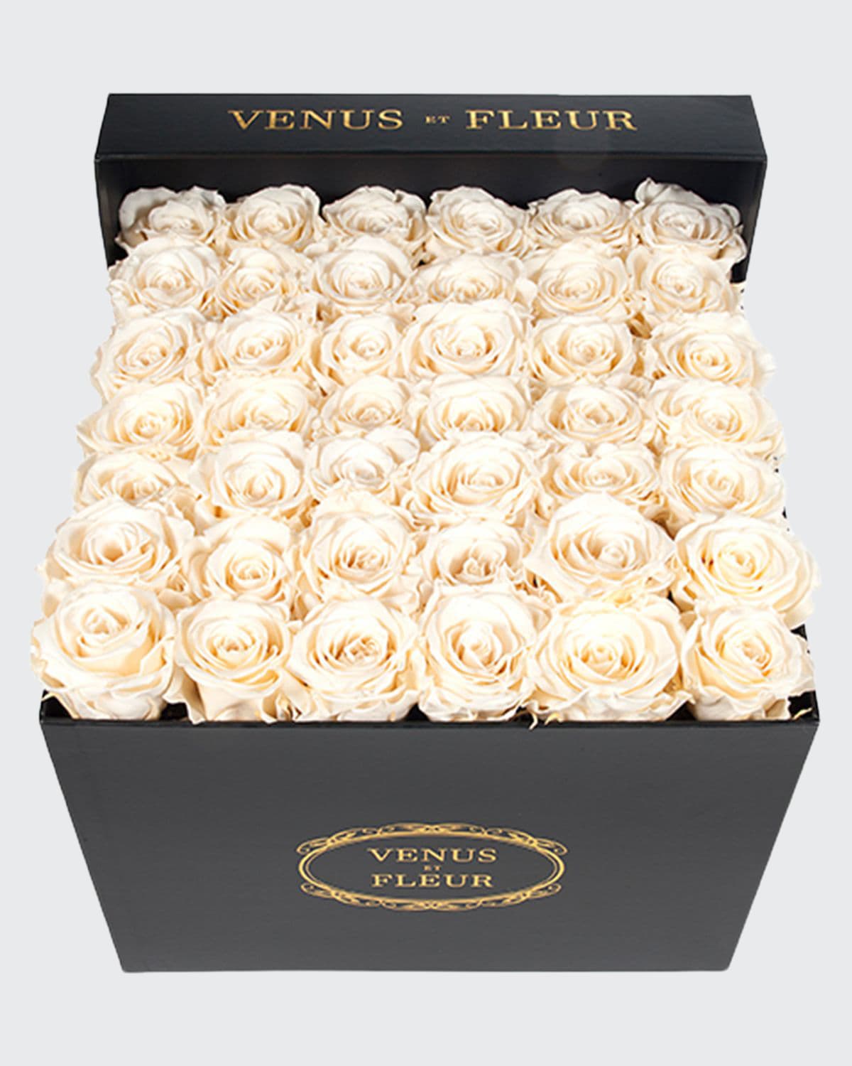 Venus Et Fleur Classic Large Square Rose Box In White