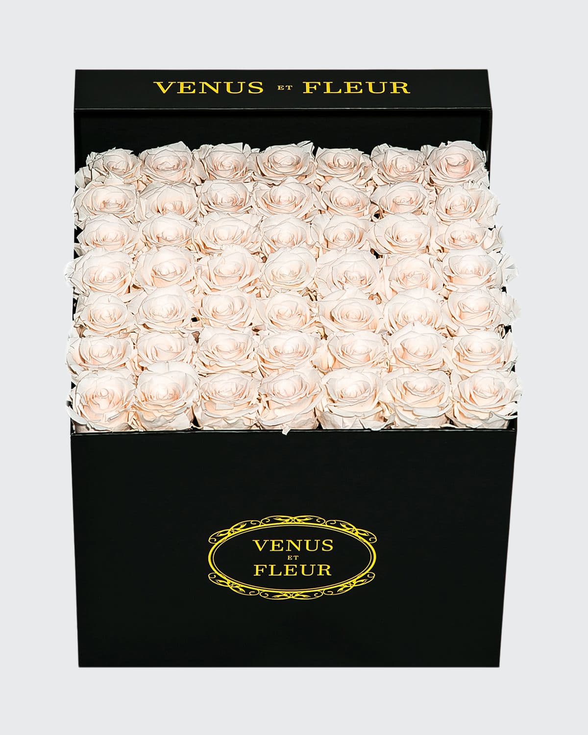 Venus Et Fleur Classic Large Square Rose Box In Black