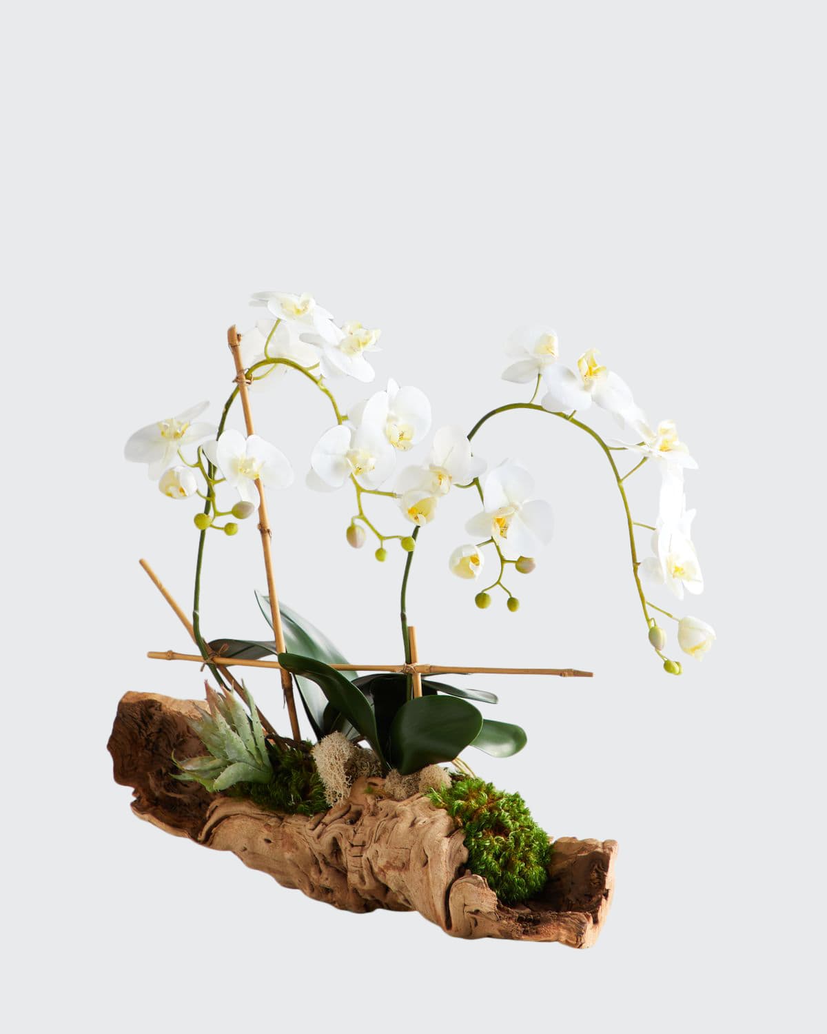 Shop John-richard Collection Organic Woody Orchids Arrangement In White