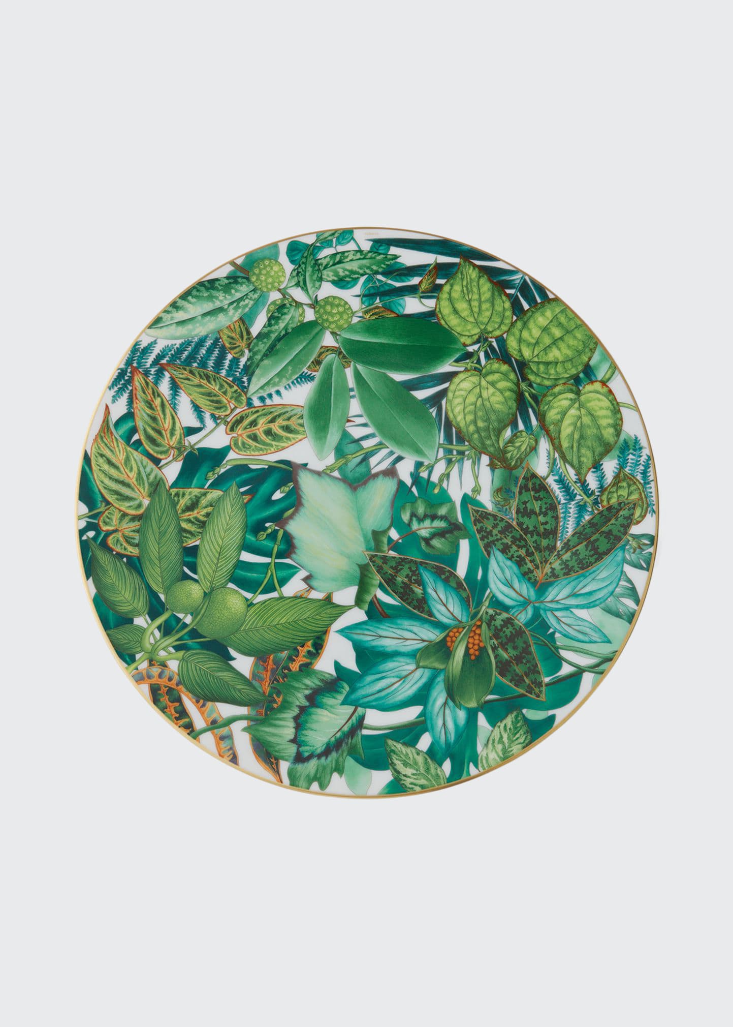 Pre-owned Hermes Passifolia Presentation Plate In Multi