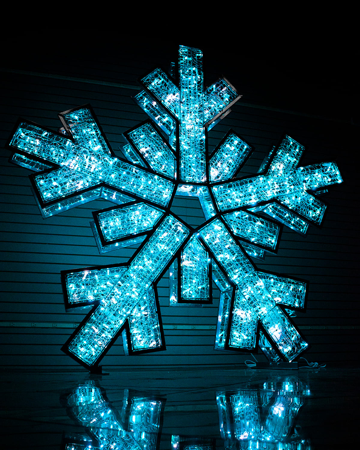 Double-Sided Snowflake with Silver Frame