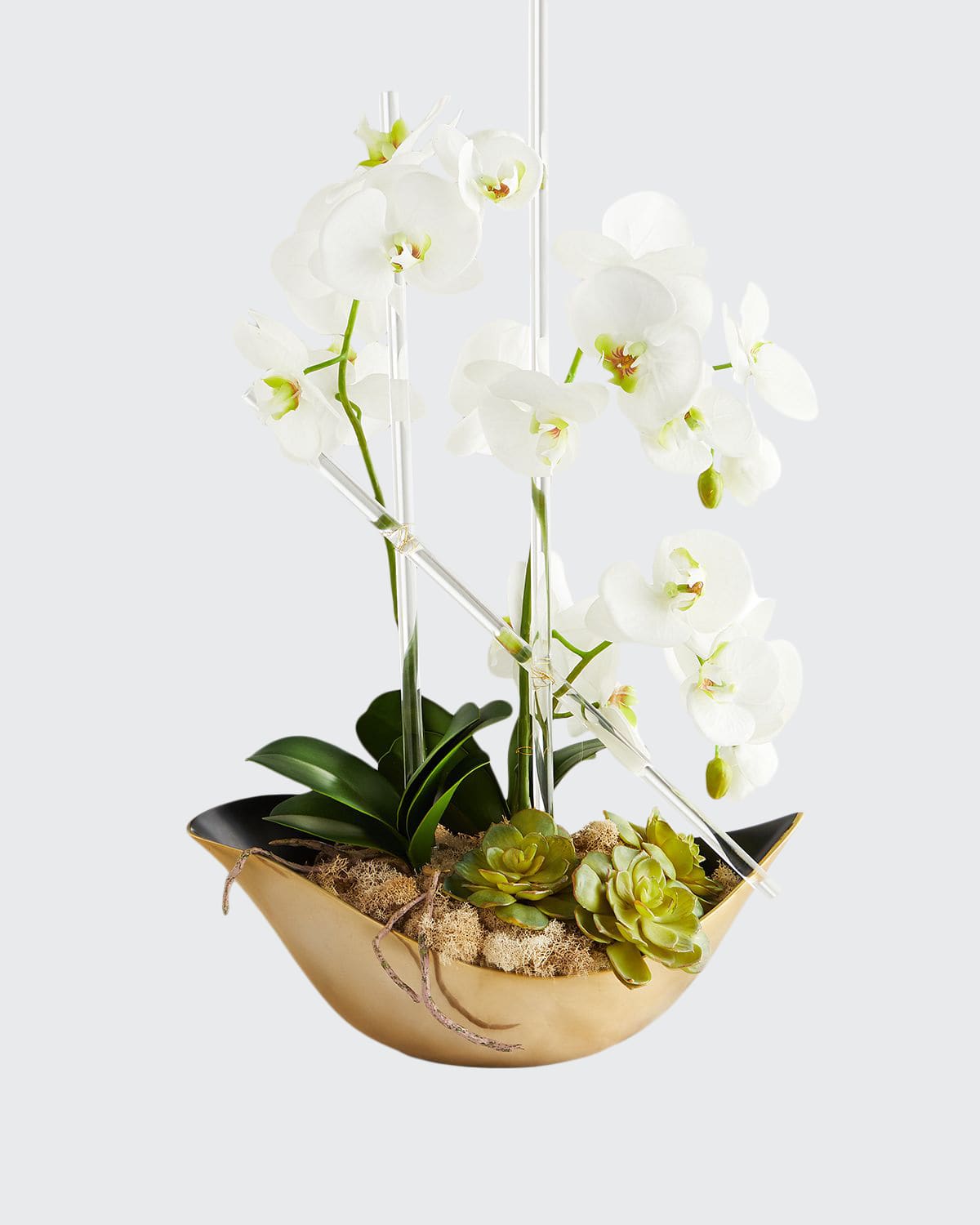 Shop John-richard Collection Cambridge Orchid Arrangement In White
