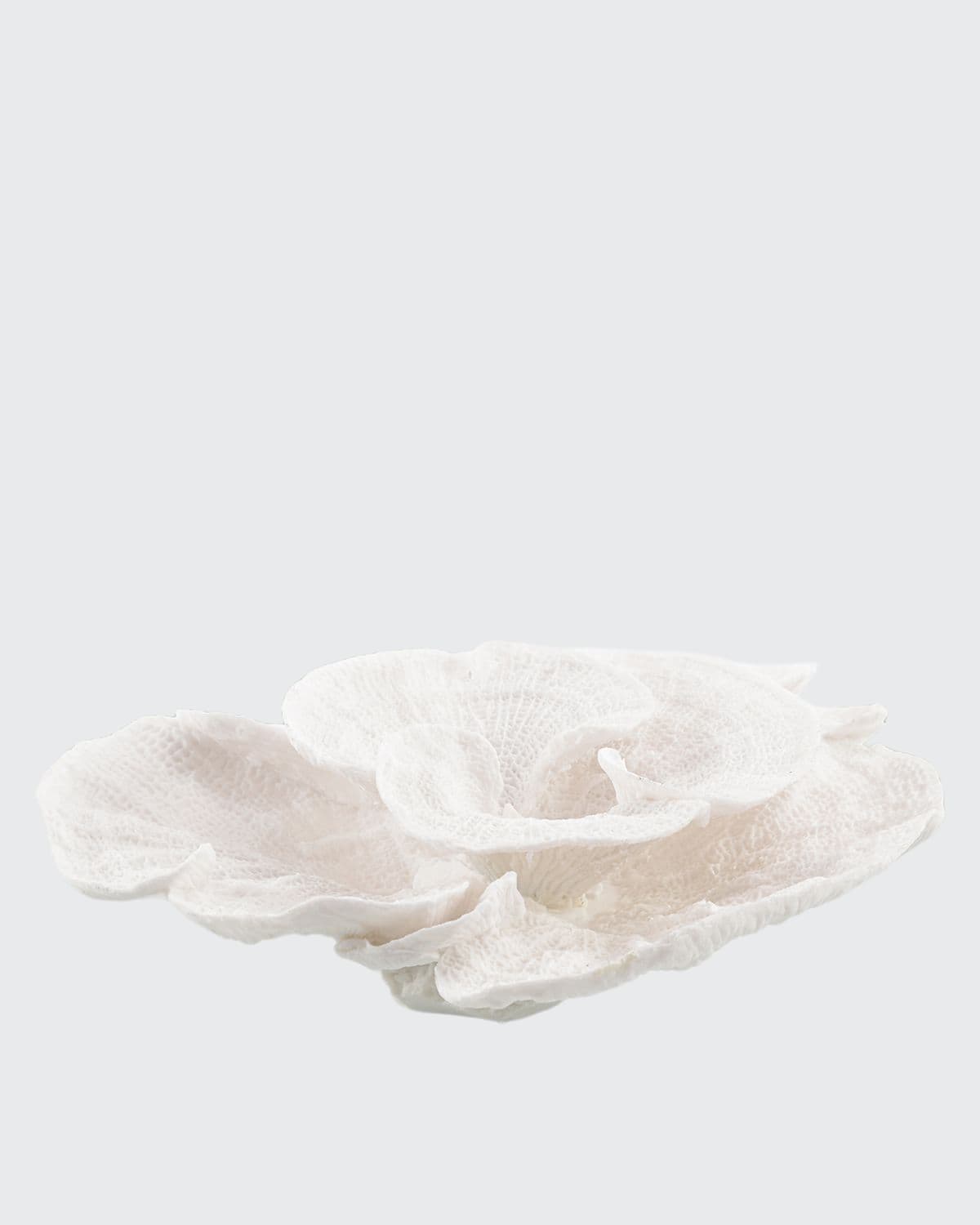 Shop John-richard Collection Foliose Coral In White