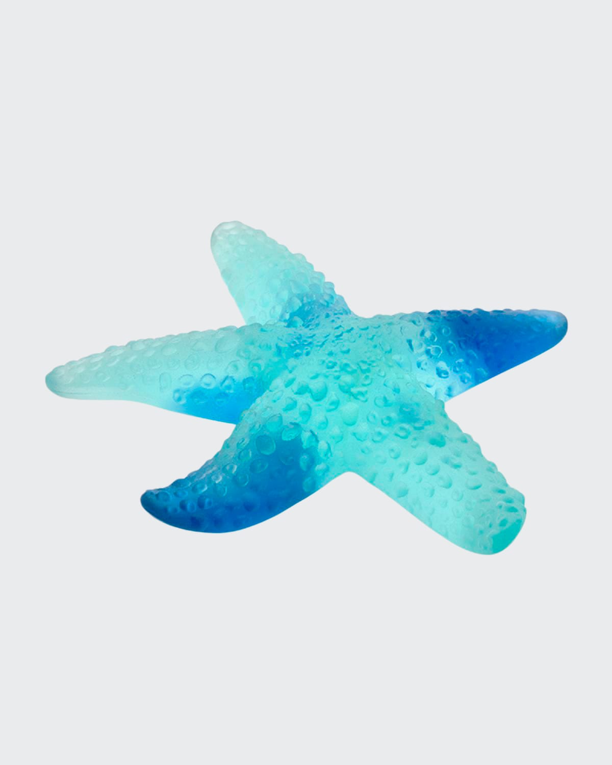 Shop Daum Coral Sea Starfish, Blue