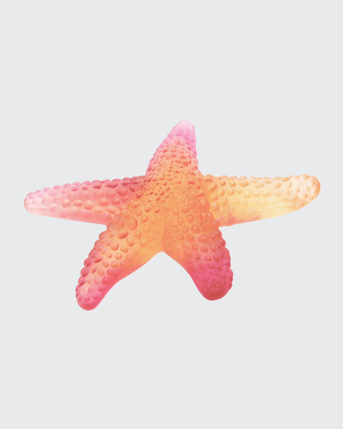 Shop Daum Coral Sea Starfish, Amber/red