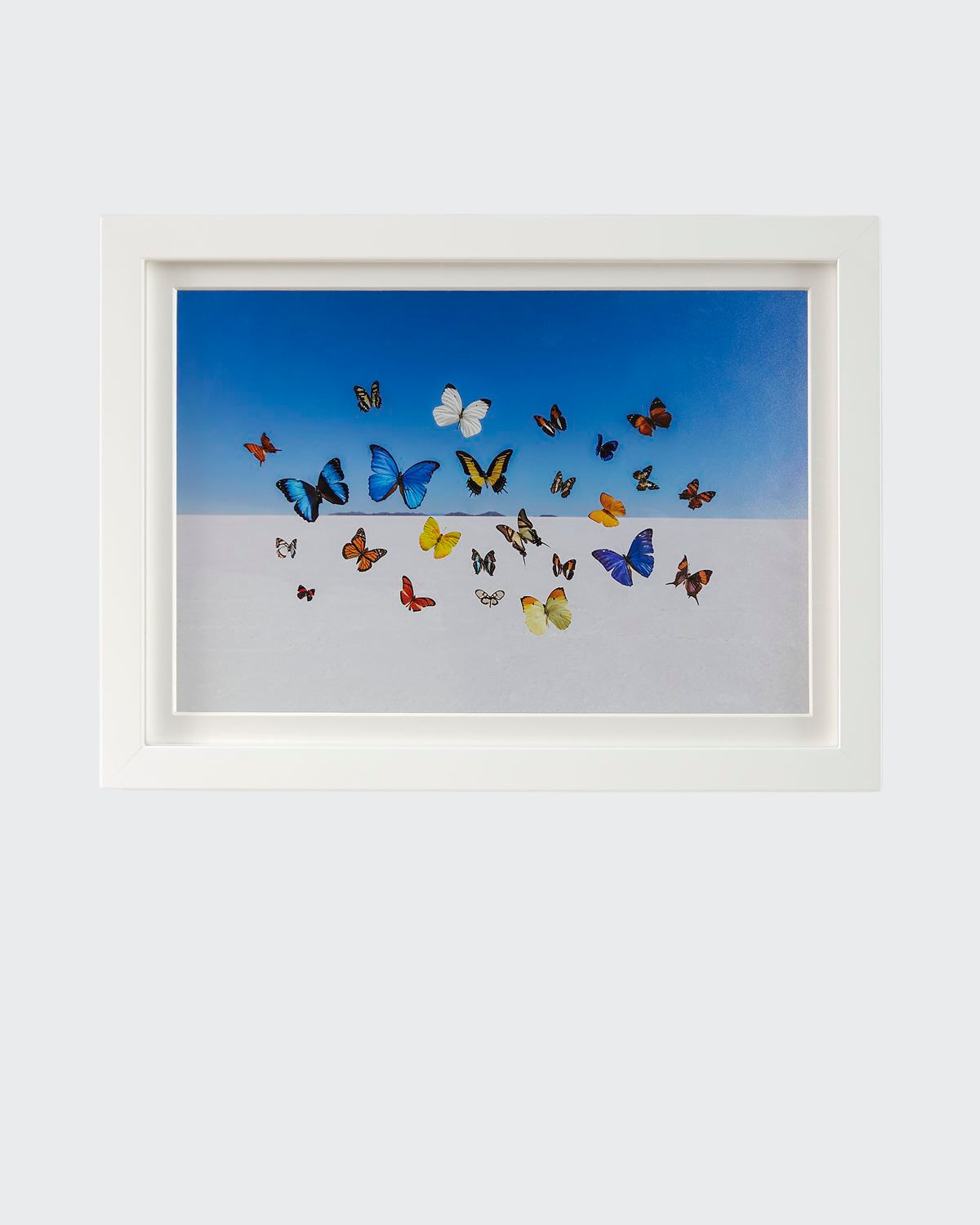 Butterflies Mini Giclee Print