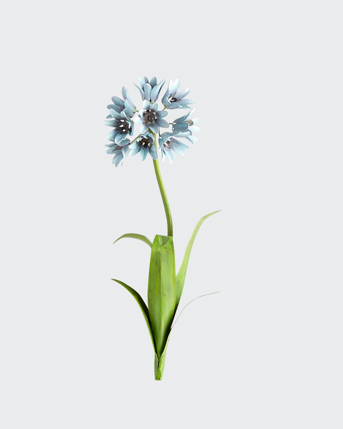 Tommy Mitchell Original Painted Agapanthus Study