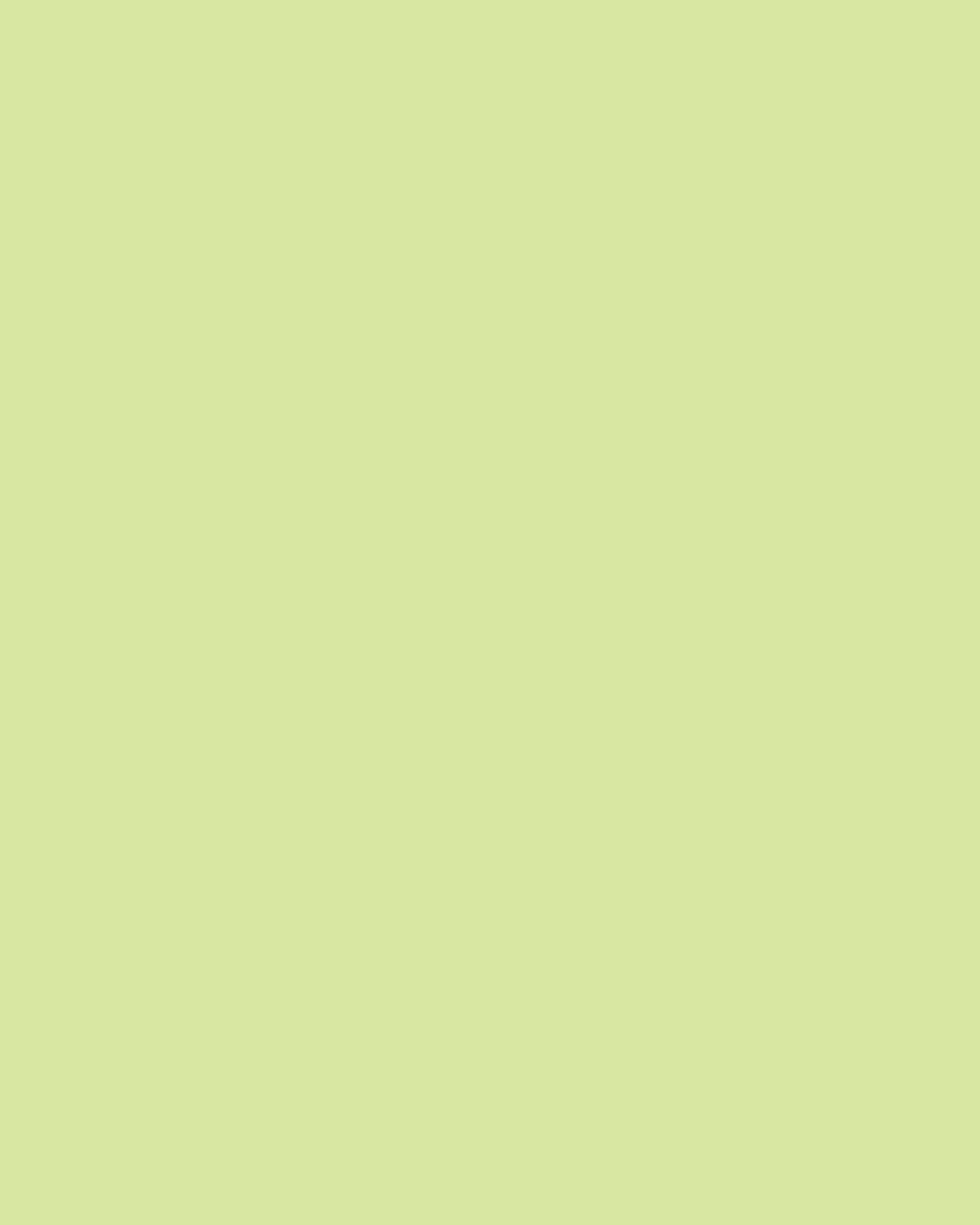 Tommy Mitchell Original Painted Hydrangea Study | Thumbnail 2