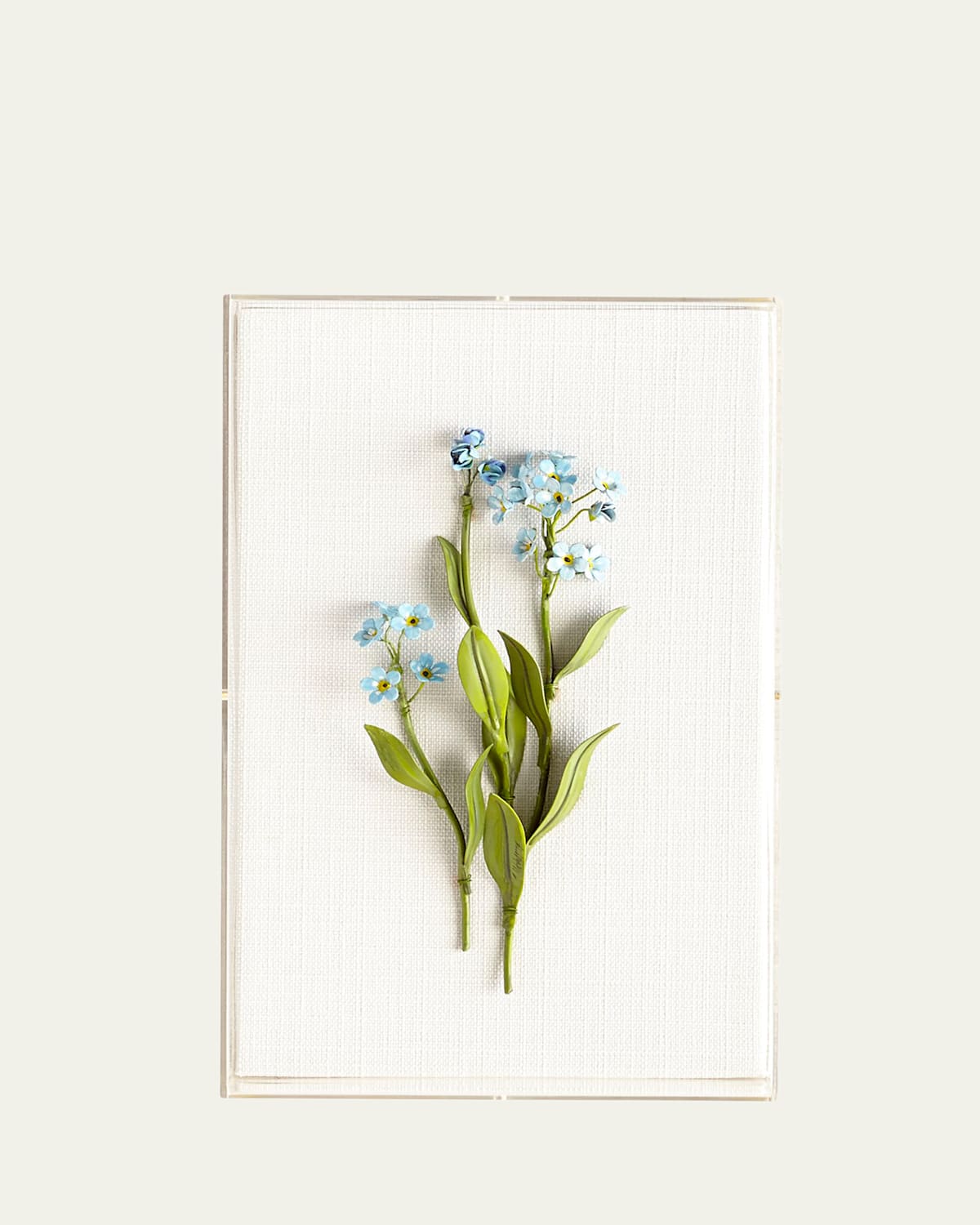 Tommy Mitchell Original Painted Forget-me-not Study In Blue