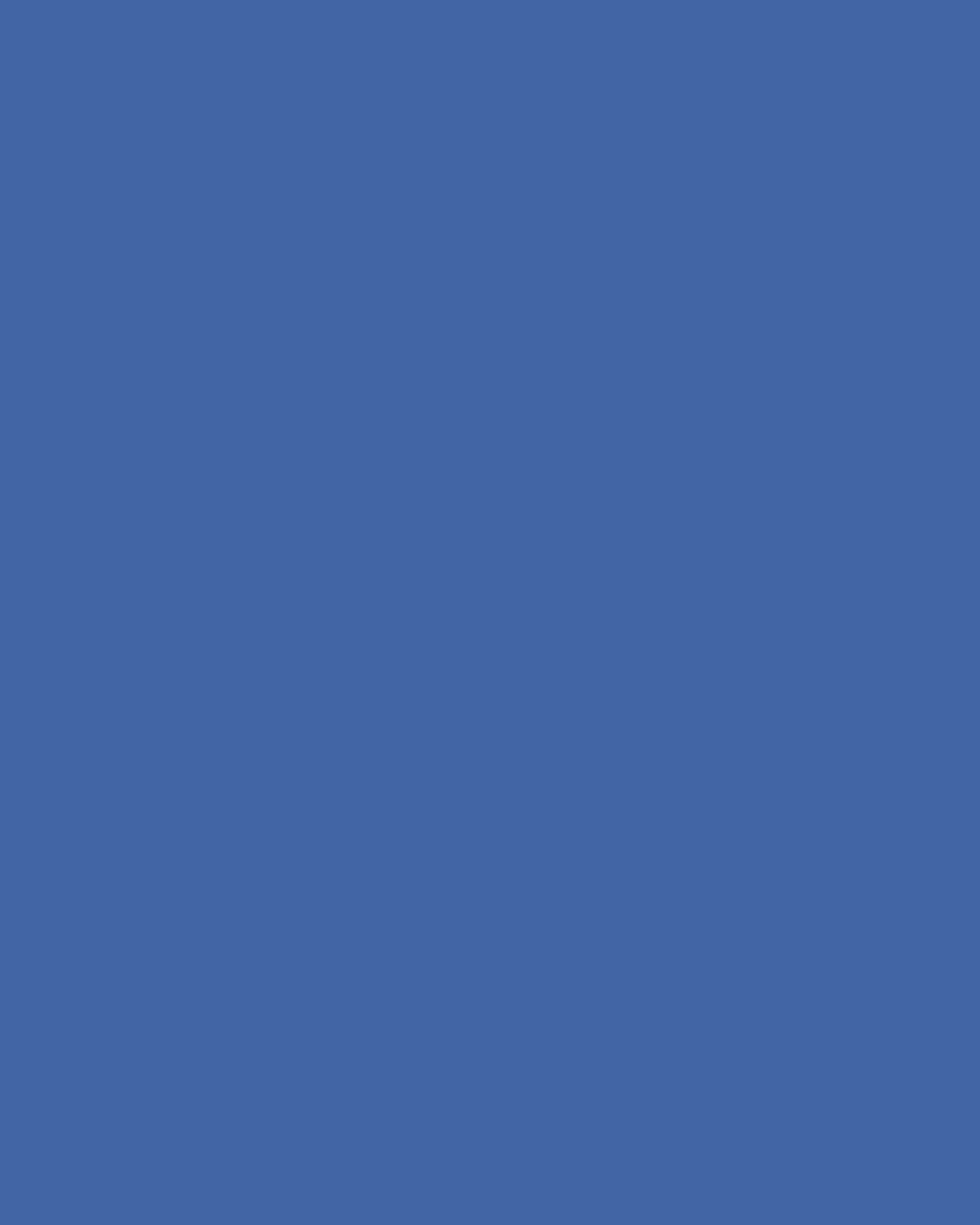 Tommy Mitchell Original Painted Forget-Me-Not Study | Thumbnail 2