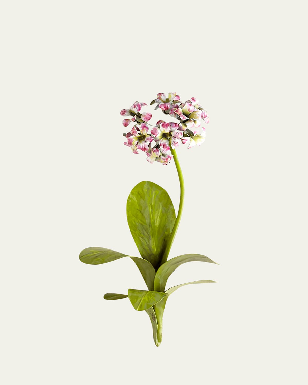 Tommy Mitchell Original Painted Primula Study In Pink