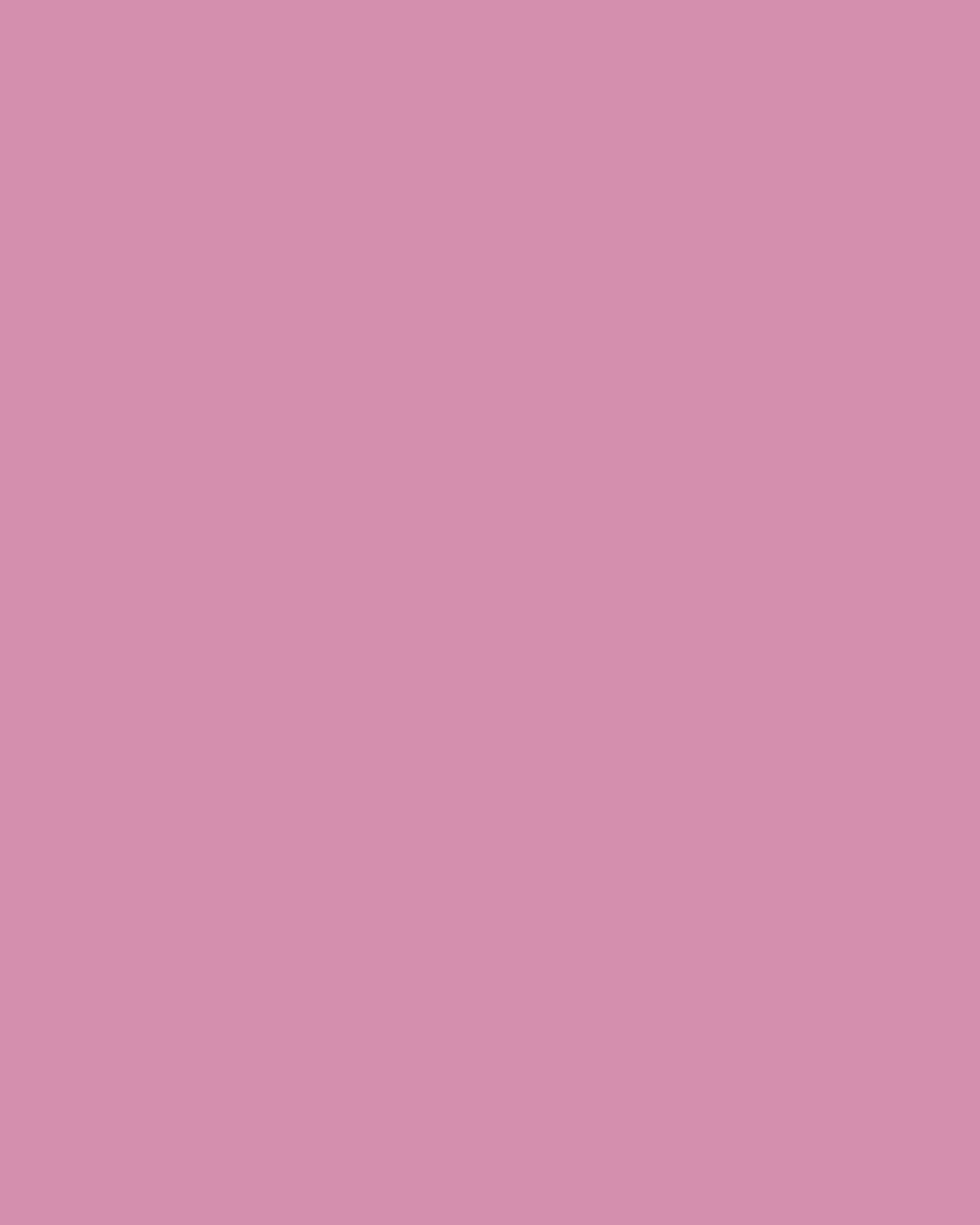 Tommy Mitchell Original Painted Primula Study | Thumbnail 2