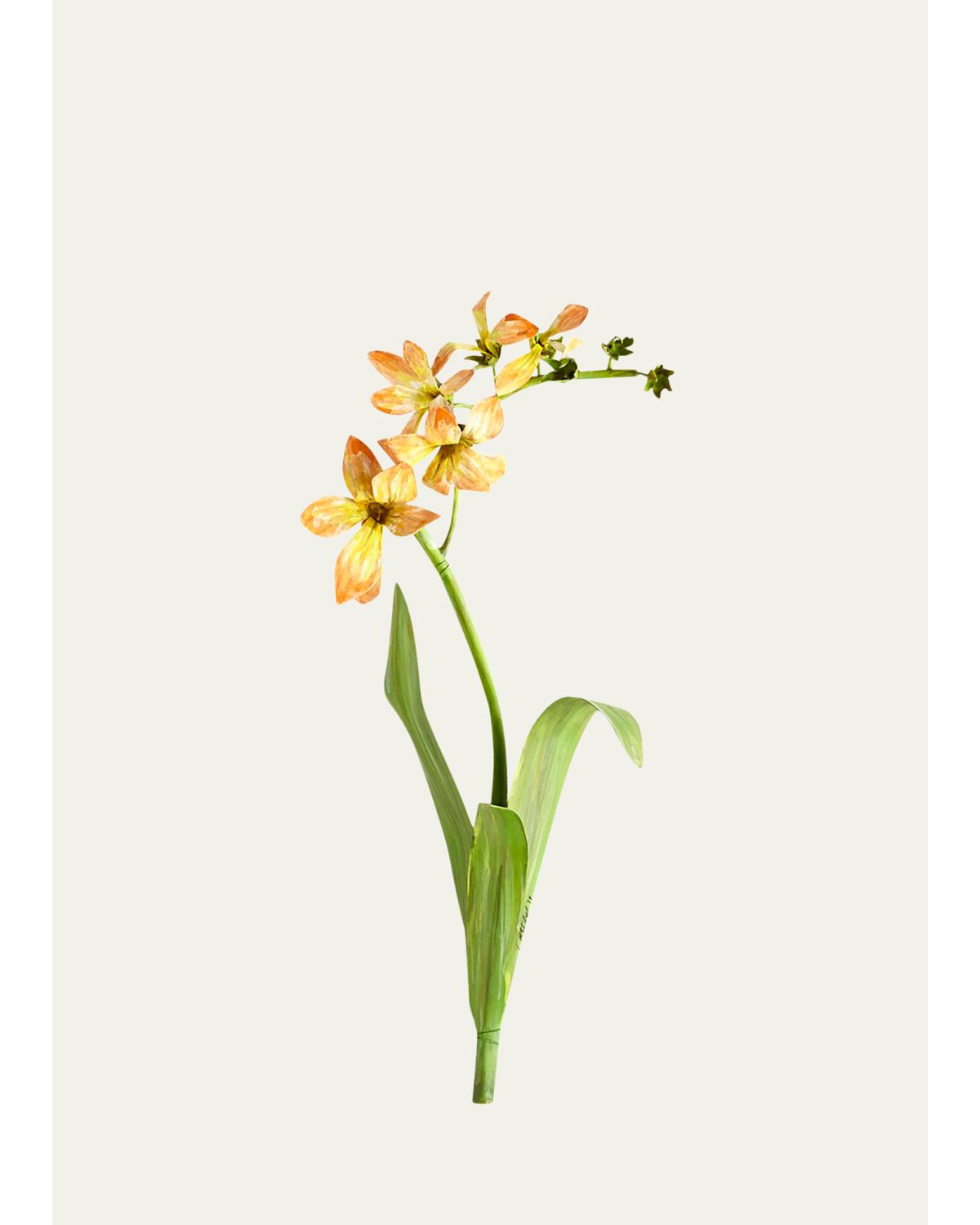 Tommy Mitchell Original Painted Freesia Study In Yellow