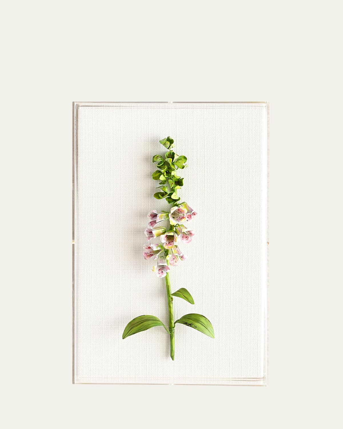 Tommy Mitchell Original Painted Foxglove Study | Thumbnail 1