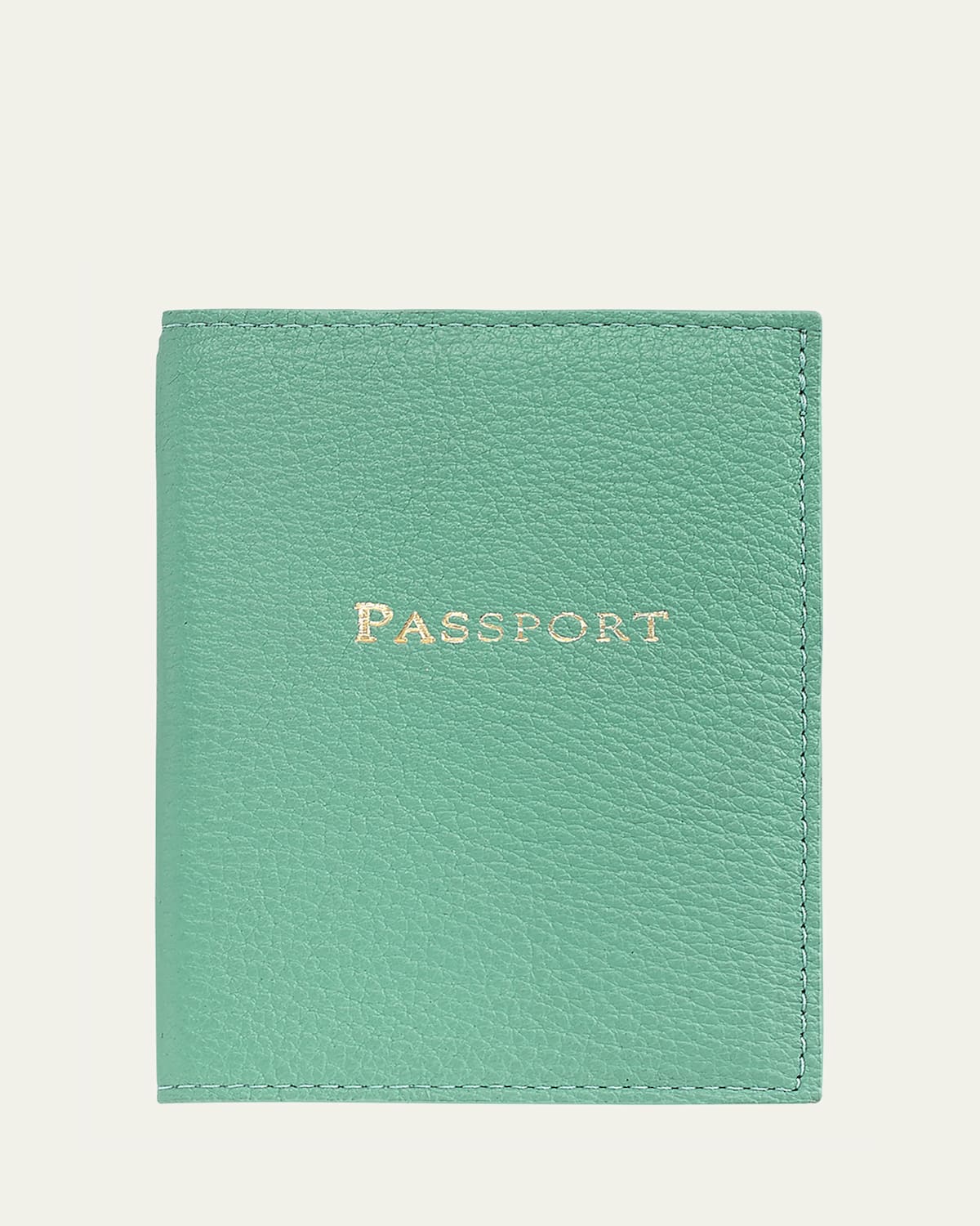 Graphic Image Passport Cover In Robins Egg Blue