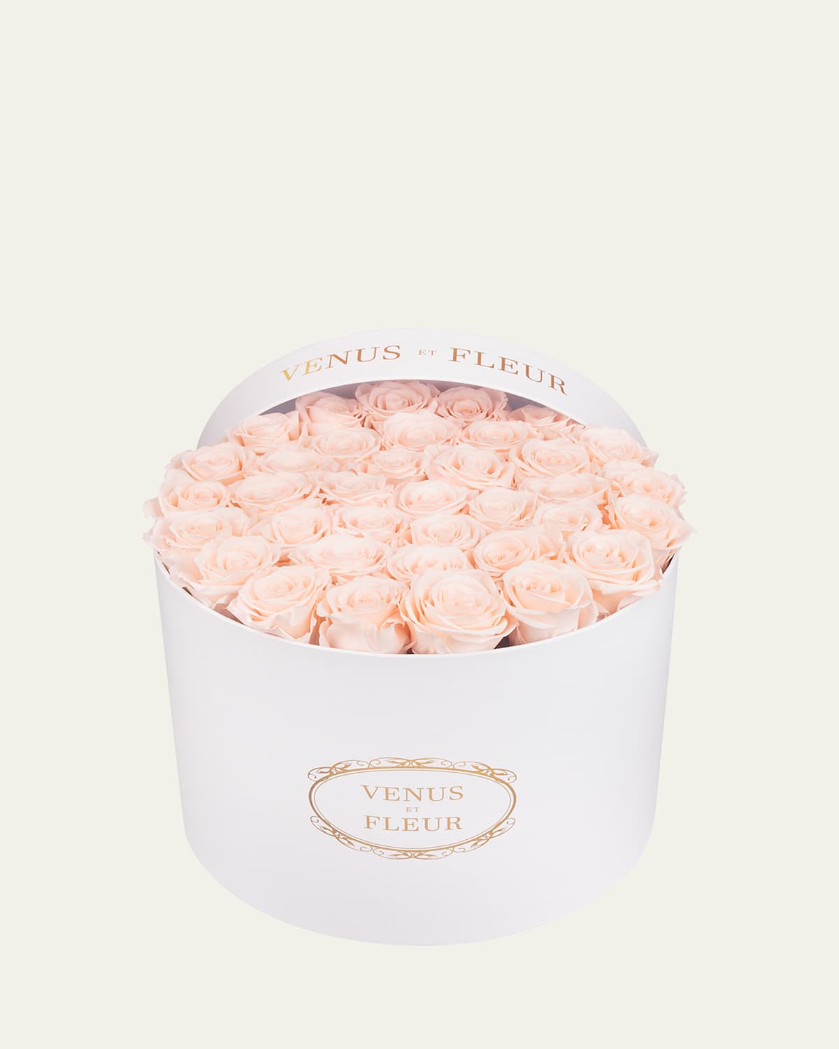 Venus Et Fleur Classic Large Round Rose Box In Blush