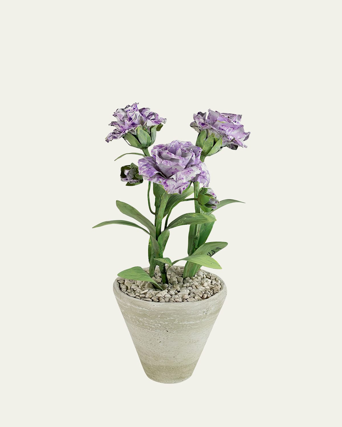 Tommy Mitchell Carnation January Birth Flower In White Terracotta Pot In Lavender