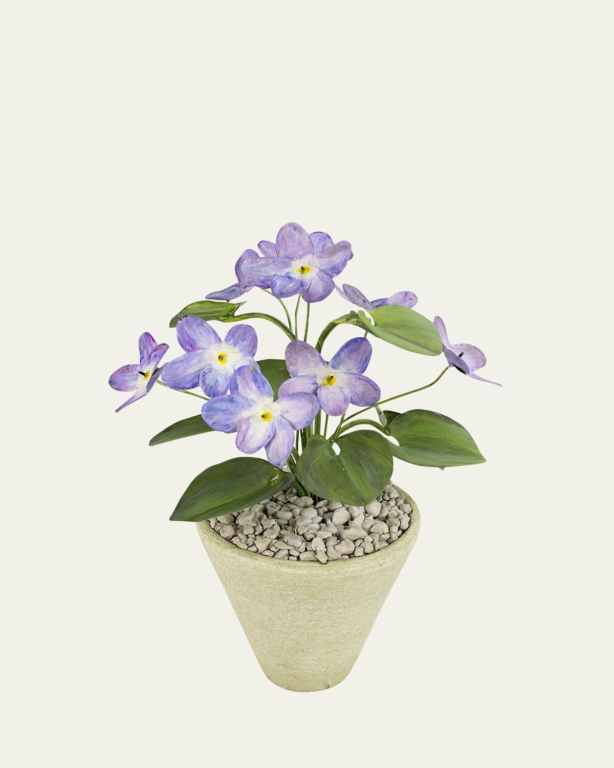 Tommy Mitchell Violet February Birth Flower In White Terracotta Pot In Violet