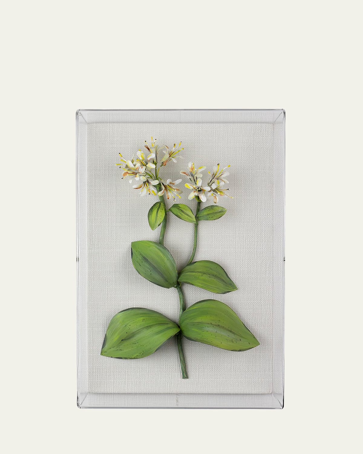 Tommy Mitchell Honeysuckle June Birth Flower Wall Art In Warm Whte