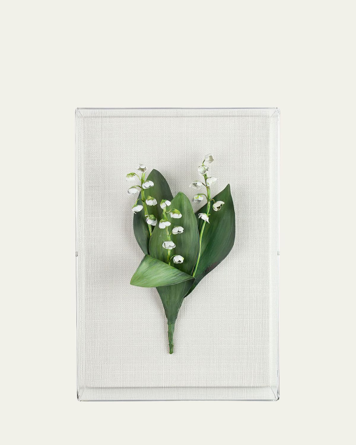Tommy Mitchell Lily Of The Valley May Birth Flower Wall Art In White