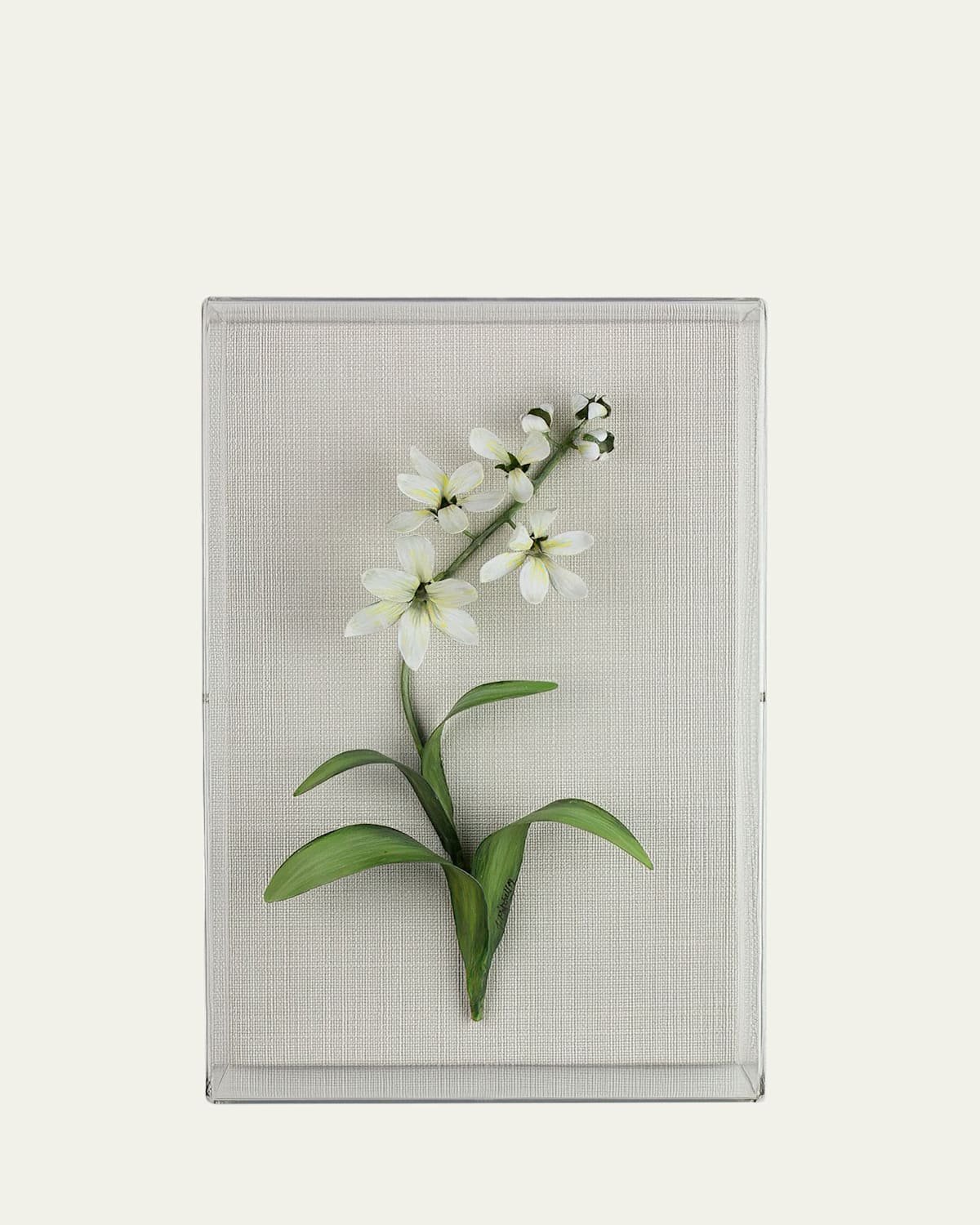 Tommy Mitchell Freesia March Birth Flower Wall Art In Soft Yellow