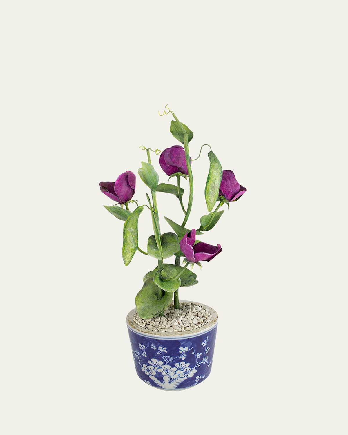 Tommy Mitchell Sweet Pea April Birth Flower In Ceramic Pot In Deep Pink
