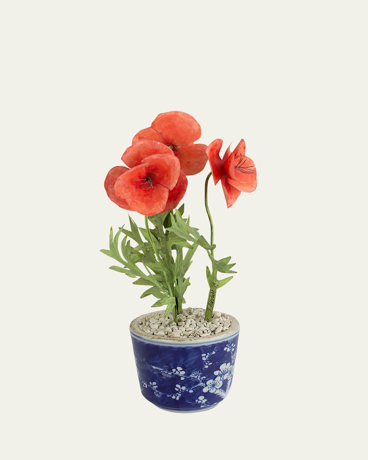 Tommy Mitchell Poppy August Birth Flower In Ceramic Pot In Coral Red