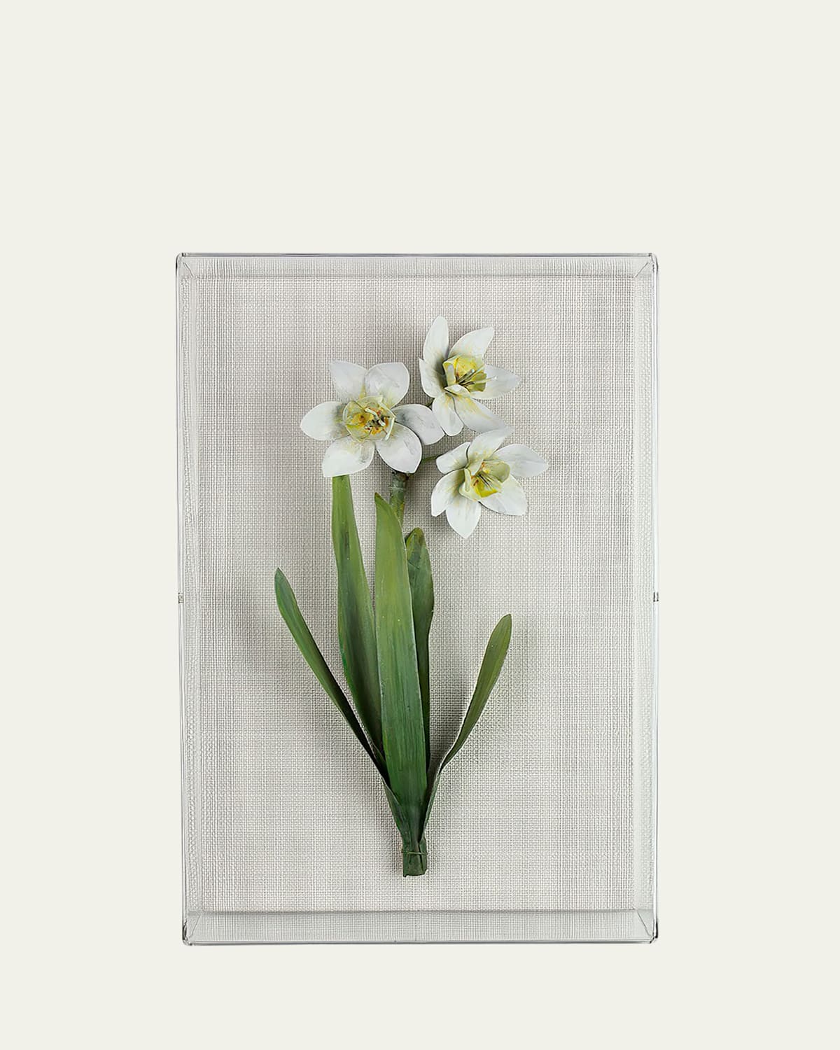 Tommy Mitchell Narcissus December Birth Flower Wall Art In White