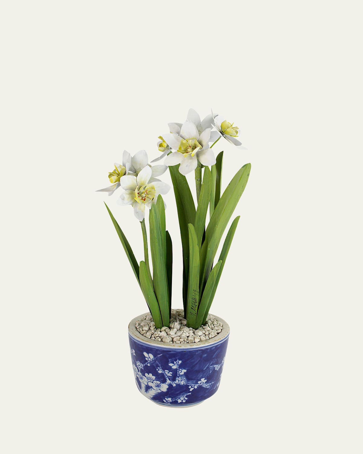 Tommy Mitchell Narcissus December Birth Flower In Blue/white Ceramic Pot In White
