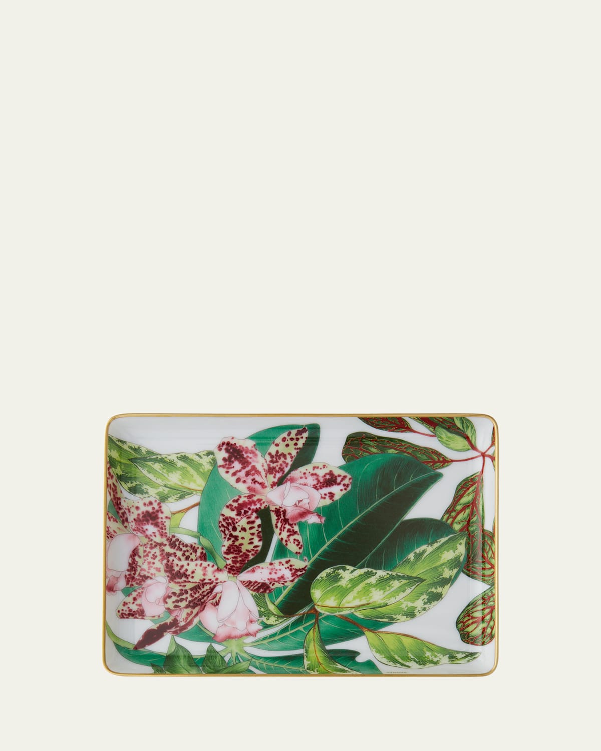 HERMÈS Passifolia Small Tray N1